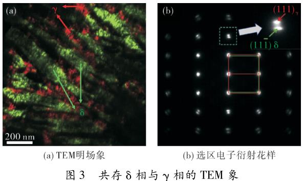 鋯合金中氫化物的研究進(jìn)展