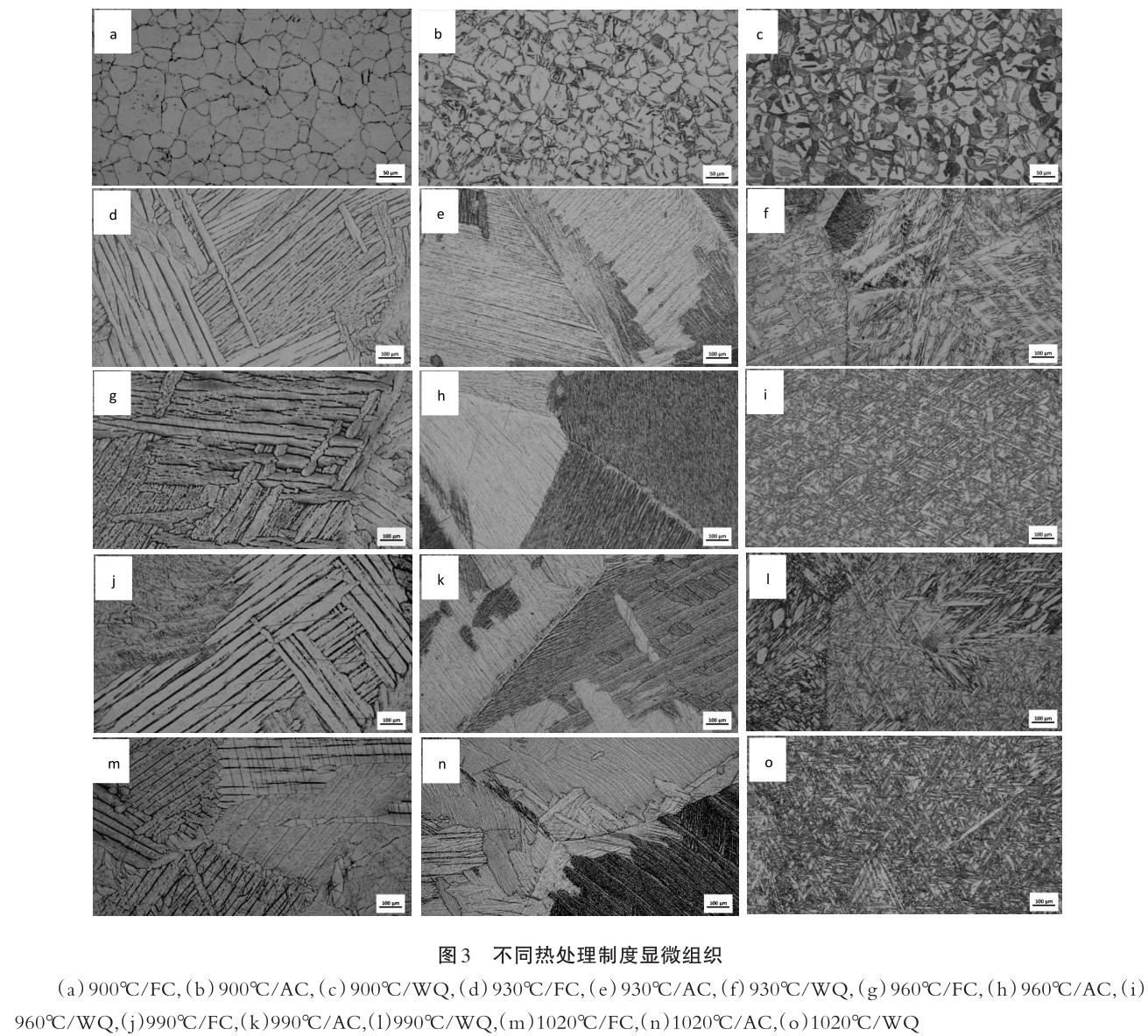 1701296686359687.jpg t3.jpg