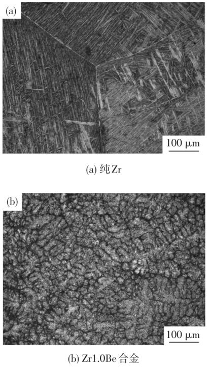 1720232768106613.jpg 360截圖165208169812894.jpg