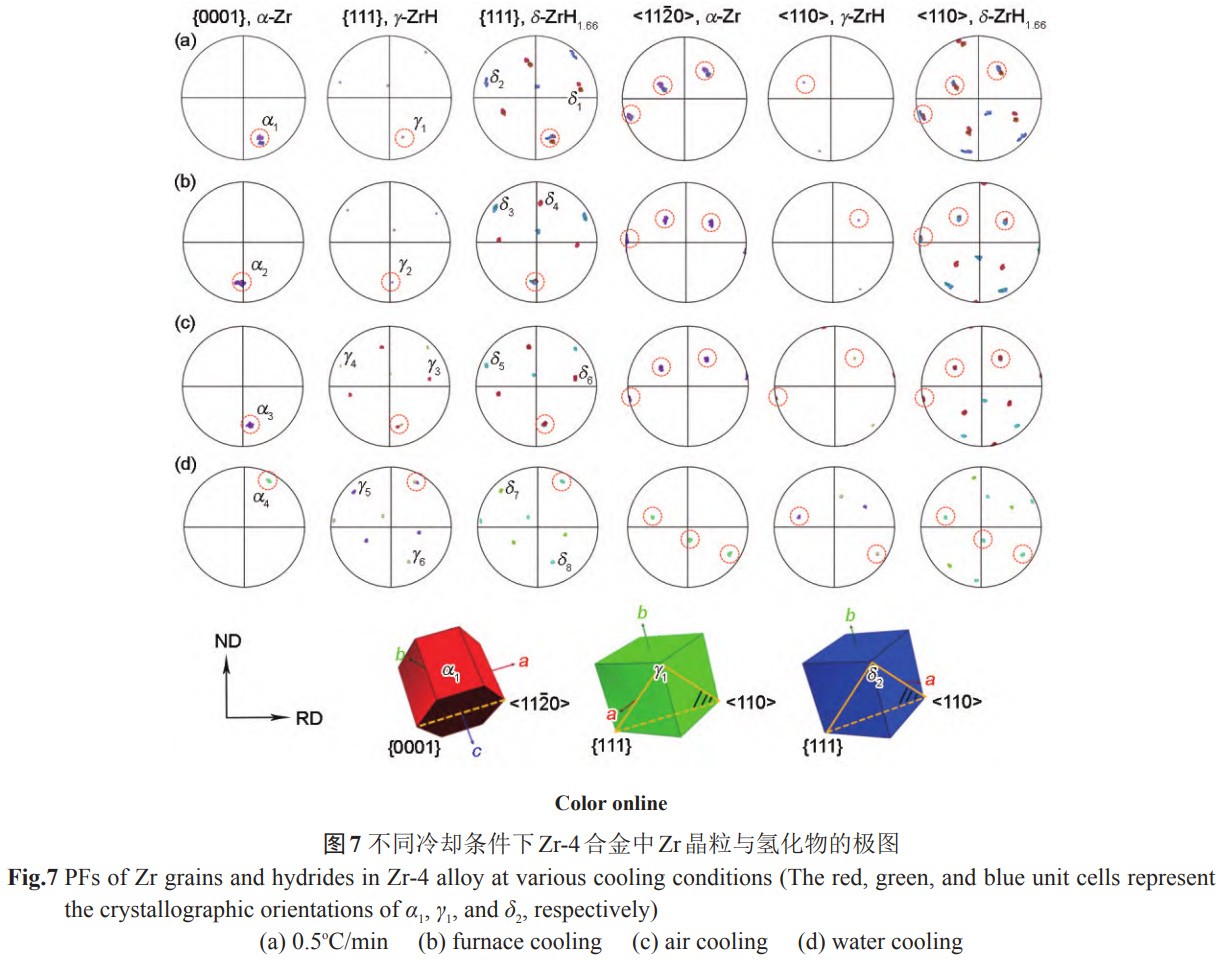 1734144491830995.jpg 7.jpg