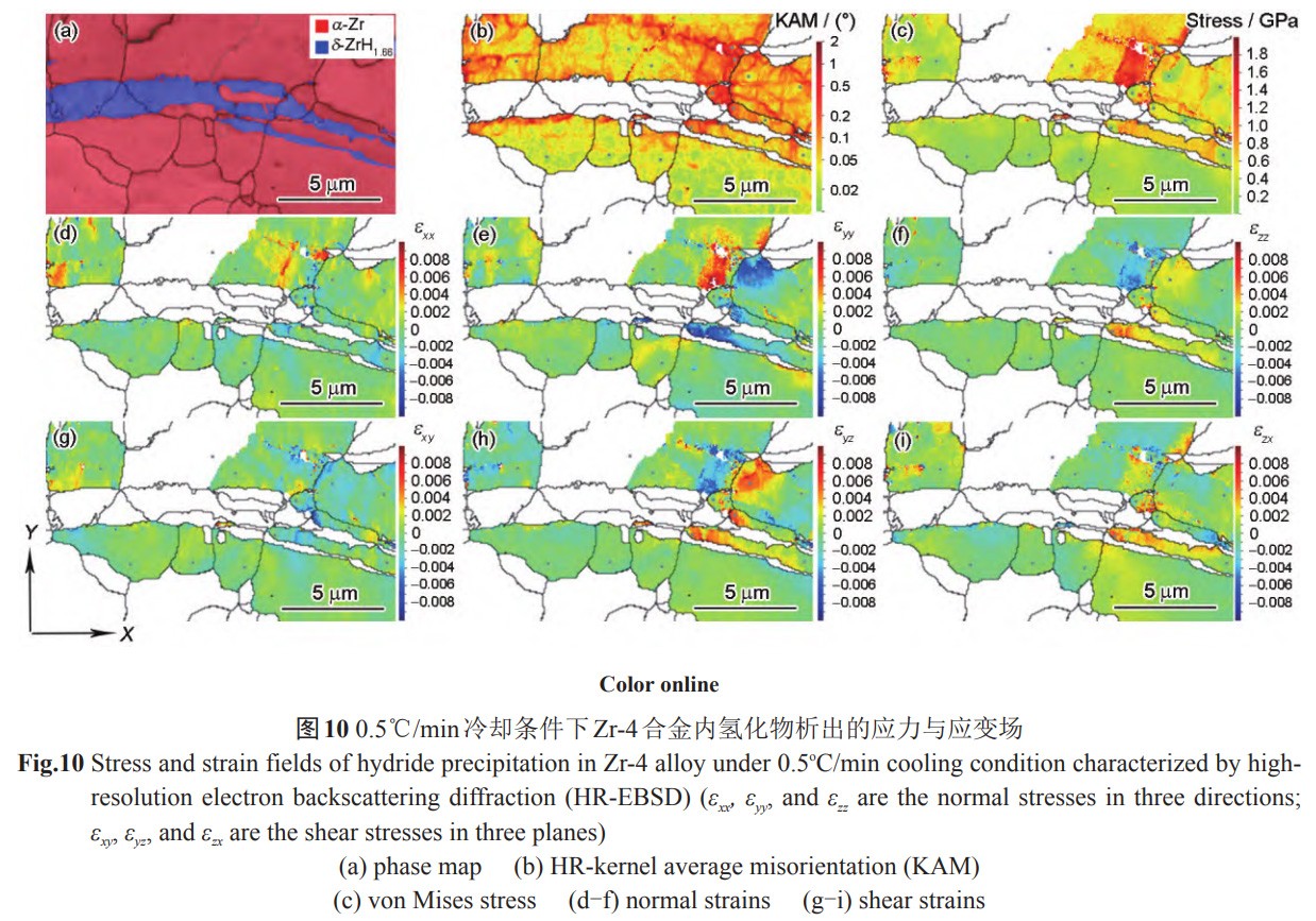 1734144524286442.jpg 10.jpg