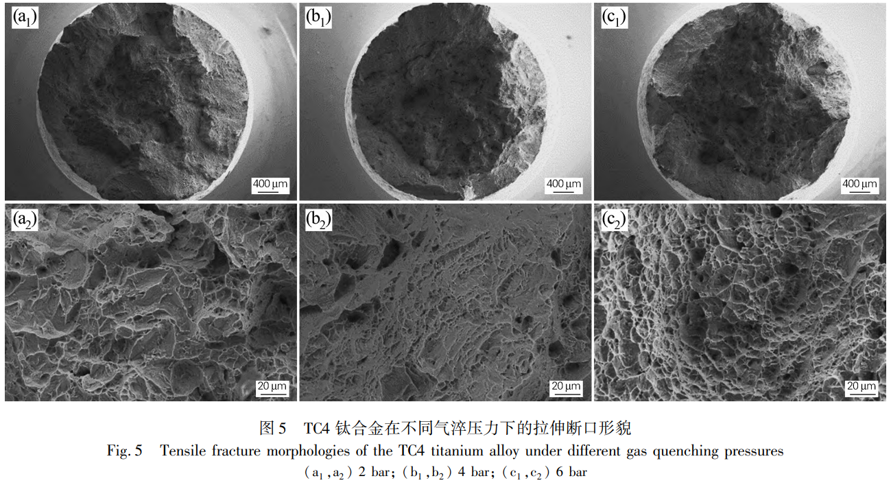 1734146018567773.png 5.png